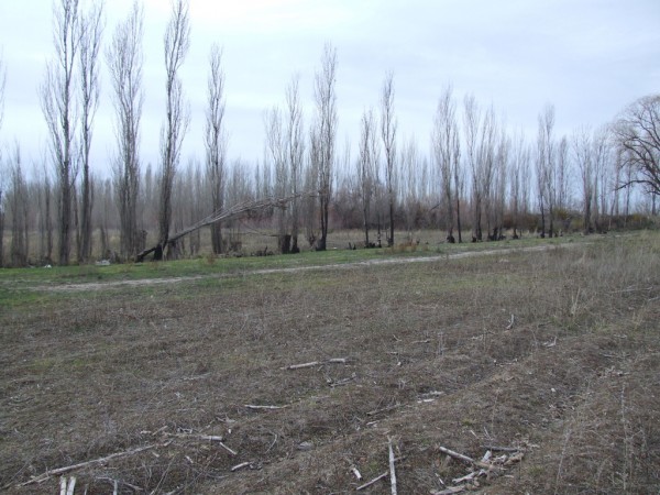 Chacra doce Hectareas y media