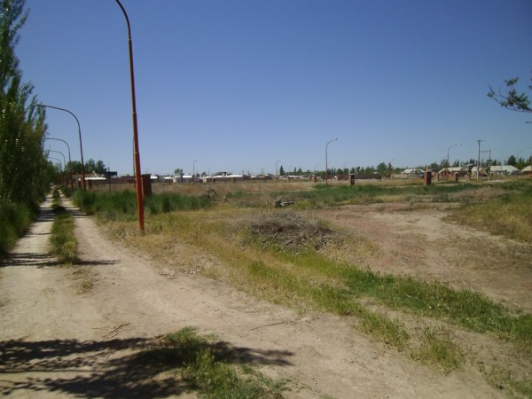 Lotes en Venta en Allen, Rio Negro