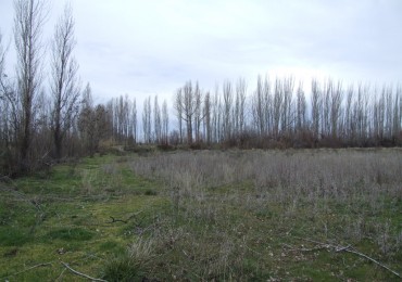 Chacra doce Hectareas y media